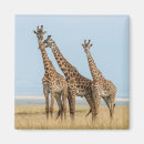 Search for reserves magnets Kenya