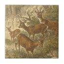 Search for deer tiles Nature