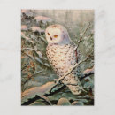 Search for twigs postcards Branch