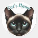 Search for siamese cat stickers Kitten