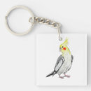 Search for bird design key rings Birds