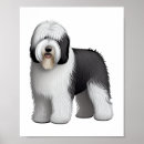 Search for sheepdogs posters Wolf