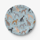 Search for dog bone plates Cute