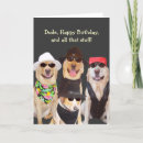 Search for cattle dog birthday cards Dogs