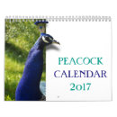 Search for peacock calendars Peafowl