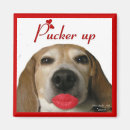 Search for pucker magnets Kiss