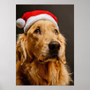 Search for golden retriever christmas posters Celebration