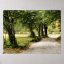 Search for countryside posters Roads