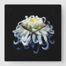 Search for chrysanthemum art Bloom