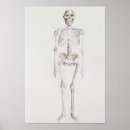 Search for evolution of man posters 20th