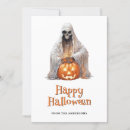 Search for frighten cards Ghost