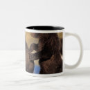 Search for arctos mugs Environment