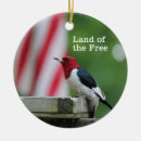 Search for woodpecker christmas tree decorations Birds and blooms