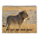 Search for big cat calendars Lions