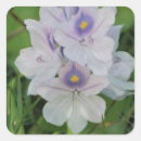 Search for botany stickers Bloom