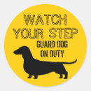 Search for watch your stickers Dog