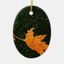 Search for fall autumn leaves christmas decor Landscape