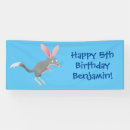 Search for bilbies Marsupial