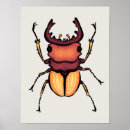 Search for entomology posters Bugs