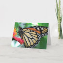 Search for nature lover birthday cards Butterfly