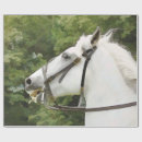 Search for a horse lover wrapping paper Farm animals