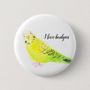 Search for parakeet badges Birds