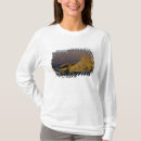 Search for zabriskie tshirts Death valley n p