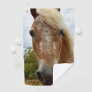 Search for stride Horse