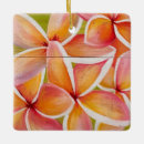 Search for plumeria christmas tree decorations Floral