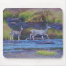 Search for does mouse mats Deer