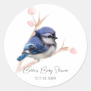Search for blue jay stickers Cute