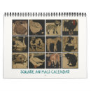Search for lamb calendars Farm