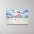 Search for aruba canvas prints Lesser antilles