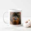 Search for primate mugs Pongo pygmaeus