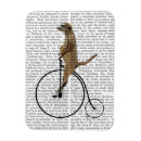 Search for meerkat gifts Flowers