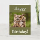 Search for spots cards Wildlife