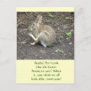 Search for humor easter cards Pets