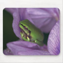 Search for tree frog mouse mats Animal