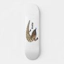 Search for reptile skateboards Cartoon