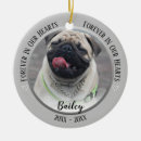Search for photo pet memorial christmas tree decorations Dog