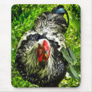 Search for green lace mouse mats Black
