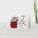 Search for shih tzu cards San francisco california