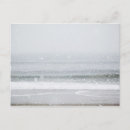 Search for purity horizontal postcards Environment