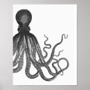 Search for black and white octopus posters Ocean