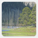 Search for yellowstone bison stickers Nature