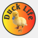 Search for duck life stickers Humour