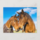 Search for affection postcards Friendship