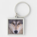 Search for eyes closed key rings Wildlife