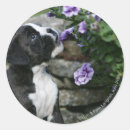 Search for bob and pam langrish stickers Panting