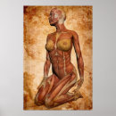 Search for muscular anatomy posters Anatomical